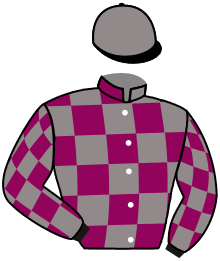 casaque portée par Gavilan Ale. jockey du cheval de course GHAIDAA (AR), information pmu ZETURF