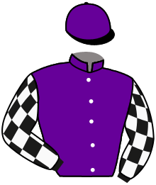 casaque portée par Dubourg K. jockey du cheval de course VOLODYMYR, information pmu ZETURF