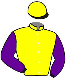 casaque portée par Meunier Gab. jockey du cheval de course LLOYD D'AUTAN, information pmu ZETURF