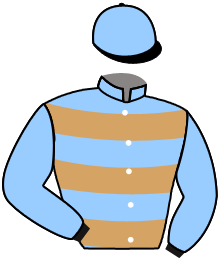 casaque portée par Chevillard T. jockey du cheval de course AFLEURDEPEAU, information pmu ZETURF