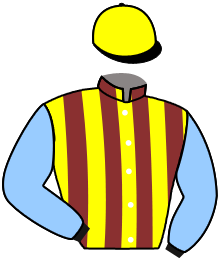 casaque portée par Le Clerc B. jockey du cheval de course JUMPANJIVE, information pmu ZETURF