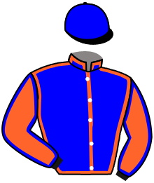 casaque portée par Brechet Léo P. jockey du cheval de course WISHPET, information pmu ZETURF
