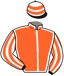 casaque portée par Paillard S. jockey du cheval de course GINO DU MATHAN, information pmu ZETURF