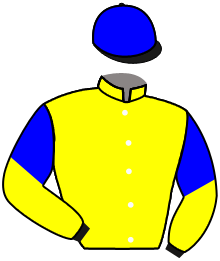 casaque portée par Non Partant jockey du cheval de course VERY WONDERFULS, information pmu ZETURF