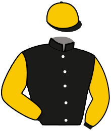 casaque portée par Bekaert D. jockey du cheval de course LOYAL FRIEND, information pmu ZETURF