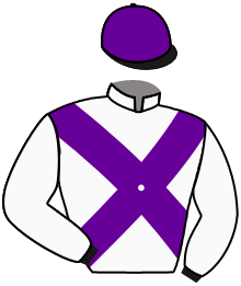 casaque portée par Trullier T. jockey du cheval de course STORIA DI ROMA, information pmu ZETURF