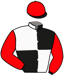 casaque portée par Germain Mlle M. jockey du cheval de course HENRY THE LION, information pmu ZETURF