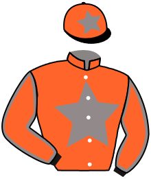casaque portée par Belmont Cés. jockey du cheval de course PEACEFUL SEA, information pmu ZETURF