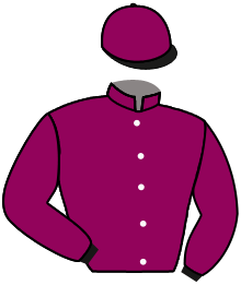 casaque portée par Lemaitre A. jockey du cheval de course FRANCESCOLI, information pmu ZETURF