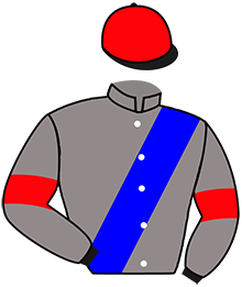 casaque portée par Favriaux Mal. jockey du cheval de course MASCALINO, information pmu ZETURF