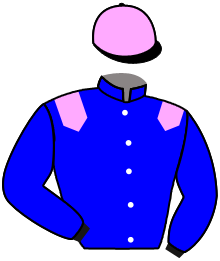 casaque portée par Guyon M. jockey du cheval de course PIERRE LE GRAND, information pmu ZETURF
