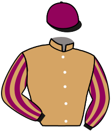 casaque portée par Calbrix Mat. jockey du cheval de course FEARLESS CHEETAH, information pmu ZETURF