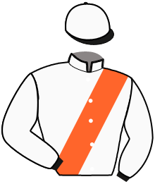 casaque portée par Abrivard A. jockey du cheval de course NINEPOINTS LASSE, information pmu ZETURF