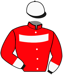 casaque portée par Martens C. jockey du cheval de course KING CASH CEKE, information pmu ZETURF