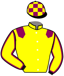 casaque portée par Brechet Léo P. jockey du cheval de course NOSTRADAMUS BLUE, information pmu ZETURF