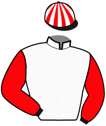 casaque portée par Thienne B. jockey du cheval de course MELISA DU LOISIR, information pmu ZETURF