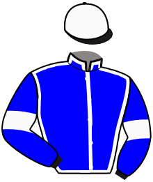 casaque portée par Pujol R. jockey du cheval de course LE MONEY, information pmu ZETURF
