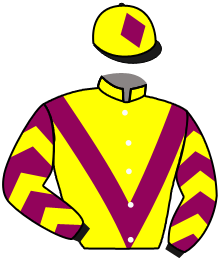 casaque portée par Barille Y. jockey du cheval de course FEBELLE ROSAY, information pmu ZETURF