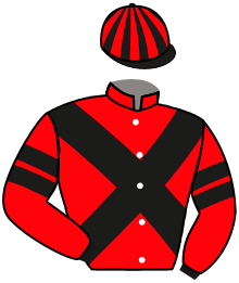 casaque portée par Wolff L. jockey du cheval de course SANTA CAROLINA, information pmu ZETURF