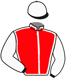 casaque portée par Roussel Leo jockey du cheval de course CALYPSO, information pmu ZETURF
