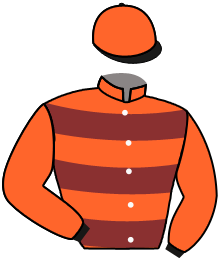 casaque portée par Tison Mlle S. jockey du cheval de course MARANNI, information pmu ZETURF