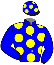 casaque portée par Nicco Mlle A. jockey du cheval de course PRINCE EXPRESS, information pmu ZETURF