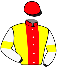 casaque portée par Duvaldestin C. jockey du cheval de course UNICO BROLINE, information pmu ZETURF