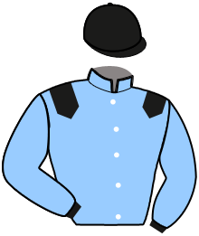 casaque portée par Marton-heliot Axe. jockey du cheval de course GINKGO ROCQ, information pmu ZETURF