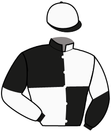 casaque portée par Thomain D. jockey du cheval de course LOOPING RENARDIER, information pmu ZETURF