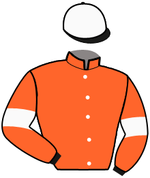casaque portée par Guibout J. P. jockey du cheval de course JOLIE AMARLOUICA, information pmu ZETURF
