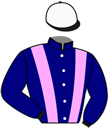 casaque portée par Koubiche Jér. jockey du cheval de course HARBOUR D'ORGERES, information pmu ZETURF