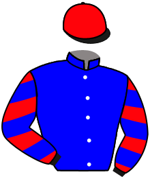 casaque portée par Velon Mlle M. jockey du cheval de course AGILE, information pmu ZETURF