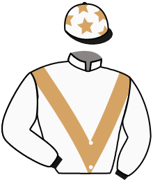 casaque portée par Chenet V. jockey du cheval de course MONTIGNY, information pmu ZETURF
