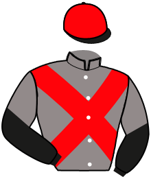 casaque portée par Senet F. jockey du cheval de course LUIGI DE SAJAN, information pmu ZETURF