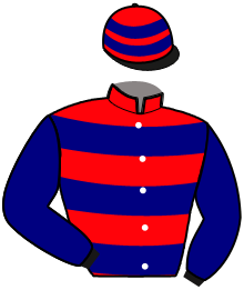 casaque portée par Monthule G. jockey du cheval de course KUDOS, information pmu ZETURF