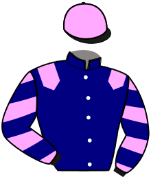 casaque portée par Godey Mme Hél. jockey du cheval de course KADO DE VANDEL, information pmu ZETURF