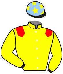 casaque portée par Cueff L. jockey du cheval de course JYLVIE DE GUEUDE, information pmu ZETURF