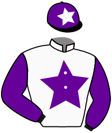 casaque portée par Lestrade B. jockey du cheval de course SIR BECQUAILLE, information pmu ZETURF