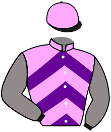 casaque portée par Mouesan H. jockey du cheval de course TCHIKITA, information pmu ZETURF