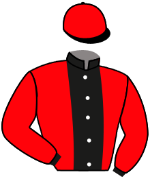 casaque portée par Richard G. jockey du cheval de course SILVER DANCE, information pmu ZETURF
