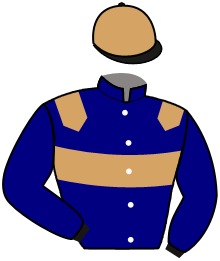 casaque portée par Mottier M. jockey du cheval de course MALIGNO, information pmu ZETURF