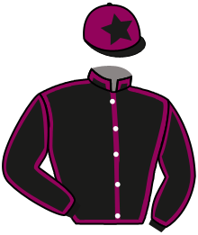 casaque portée par Boisseau L. jockey du cheval de course LOVE ME BAIE, information pmu ZETURF