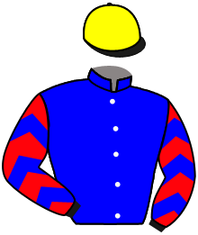 casaque portée par Rousset Y. jockey du cheval de course LADY DIVINE, information pmu ZETURF