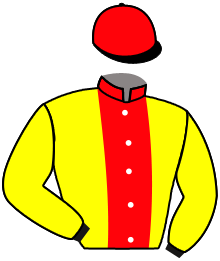 casaque portée par Raimbault C. jockey du cheval de course SLICKLY BAY, information pmu ZETURF
