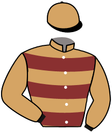 casaque portée par Blanchouin T. jockey du cheval de course CARAJONES, information pmu ZETURF