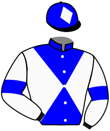 casaque portée par Manceau E. jockey du cheval de course VERY NICE DREAM, information pmu ZETURF
