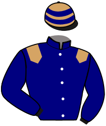 casaque portée par Poisson F. jockey du cheval de course FLAMBEUR ROYAL, information pmu ZETURF
