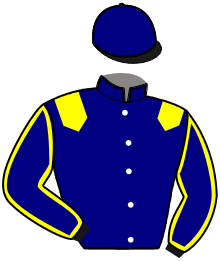 casaque portée par Gergouil Mat. jockey du cheval de course HAVANA BELLA, information pmu ZETURF
