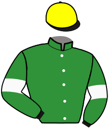 casaque portée par Callier P. jockey du cheval de course KALIMA DU GOUTIER, information pmu ZETURF