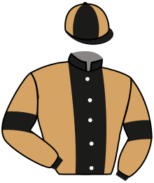 casaque portée par Manceau E. jockey du cheval de course JALZAN, information pmu ZETURF
